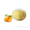 Poudre de jus de kumquat pur soluble dans l&#39;eau 100% biologique